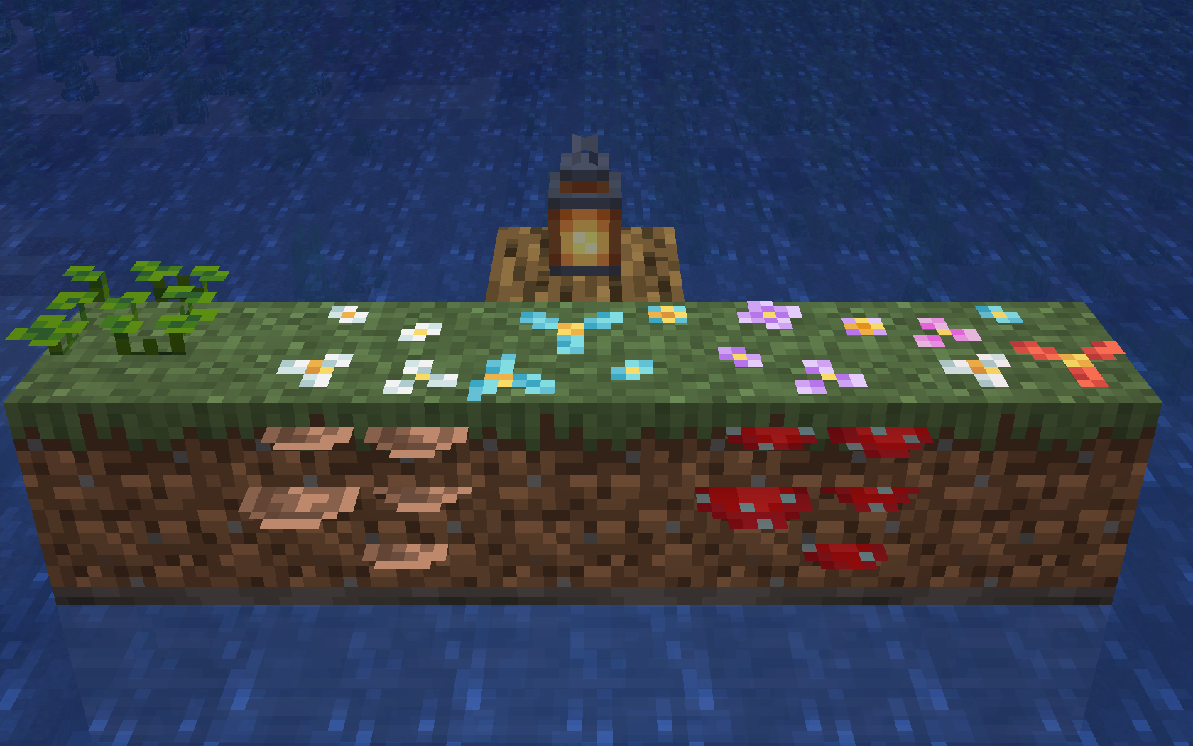 plants