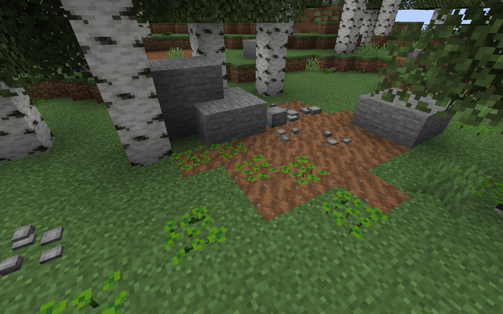 rocks