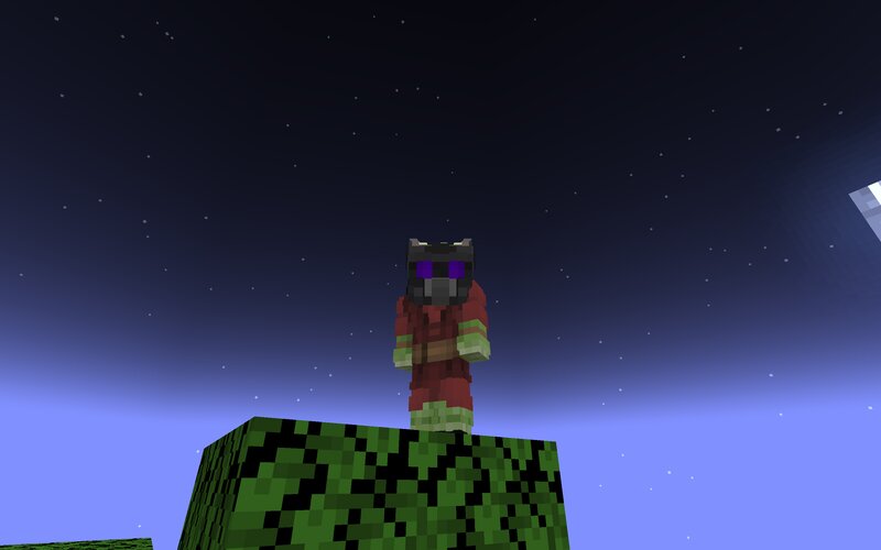 Minecraft Multiverse Madness 5