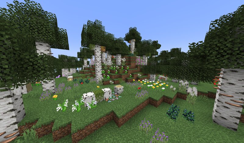 Wild Update 1