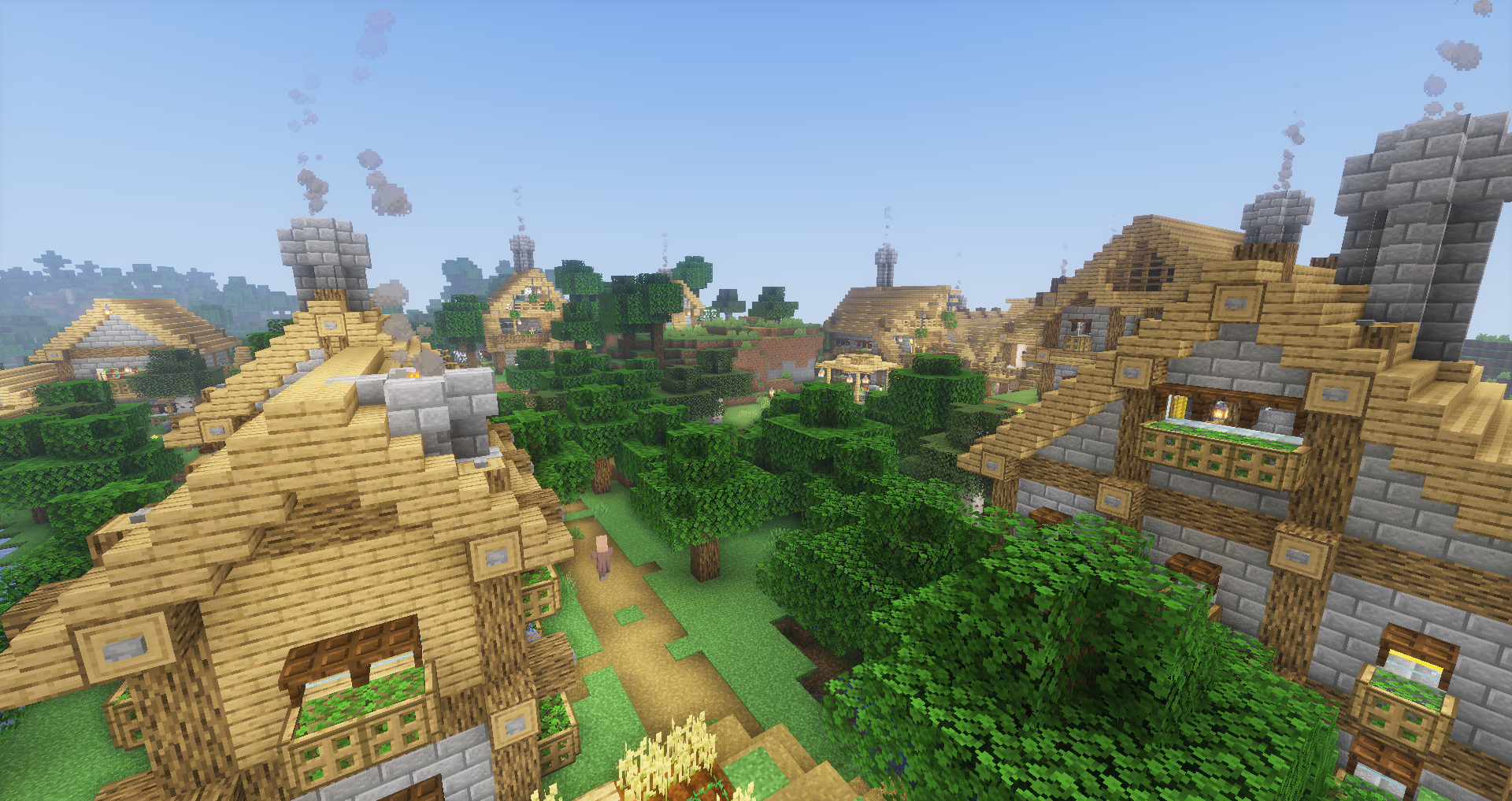 village 1