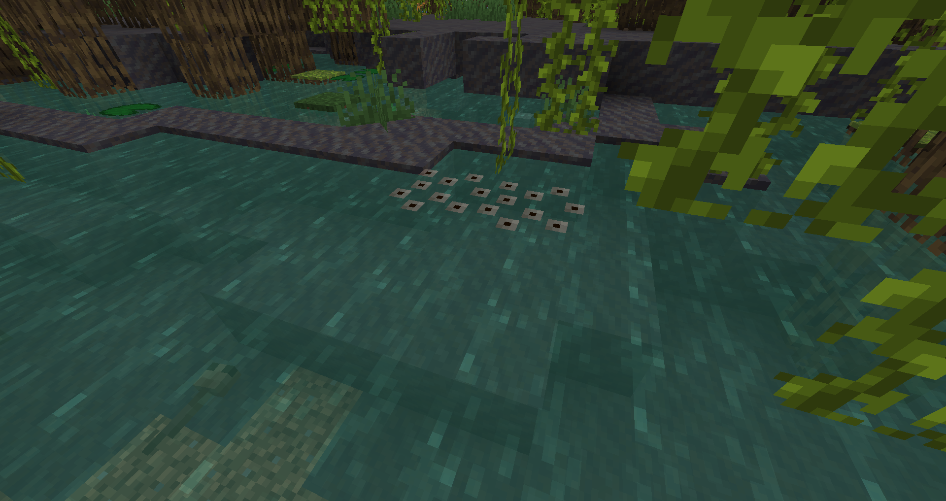 Frogspawn