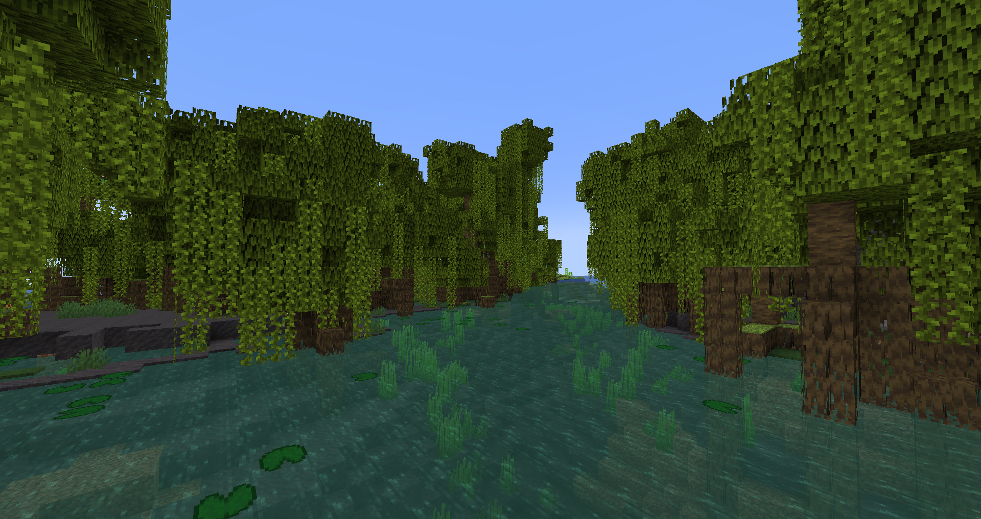 Mangrove swamp