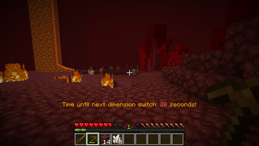 dimension nether