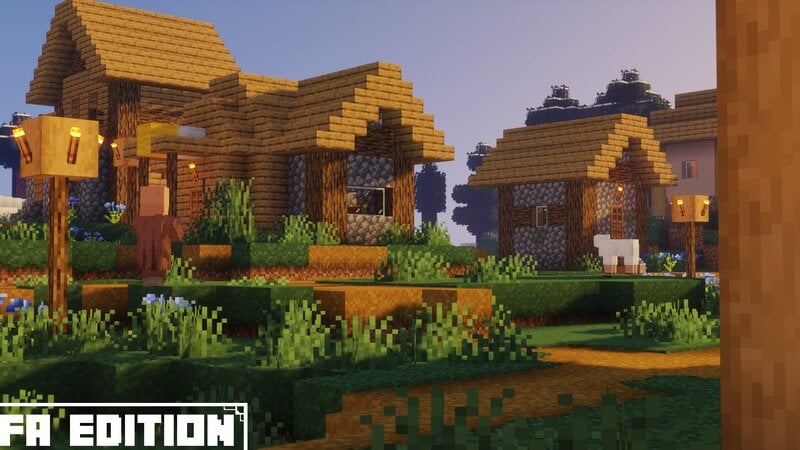 Minecraft FA Edition 6