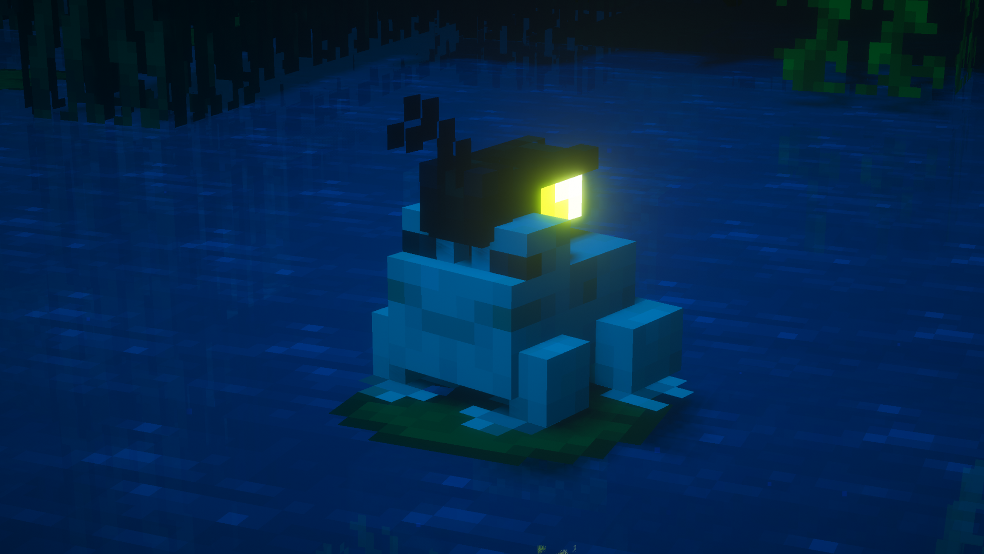 firefly on frog