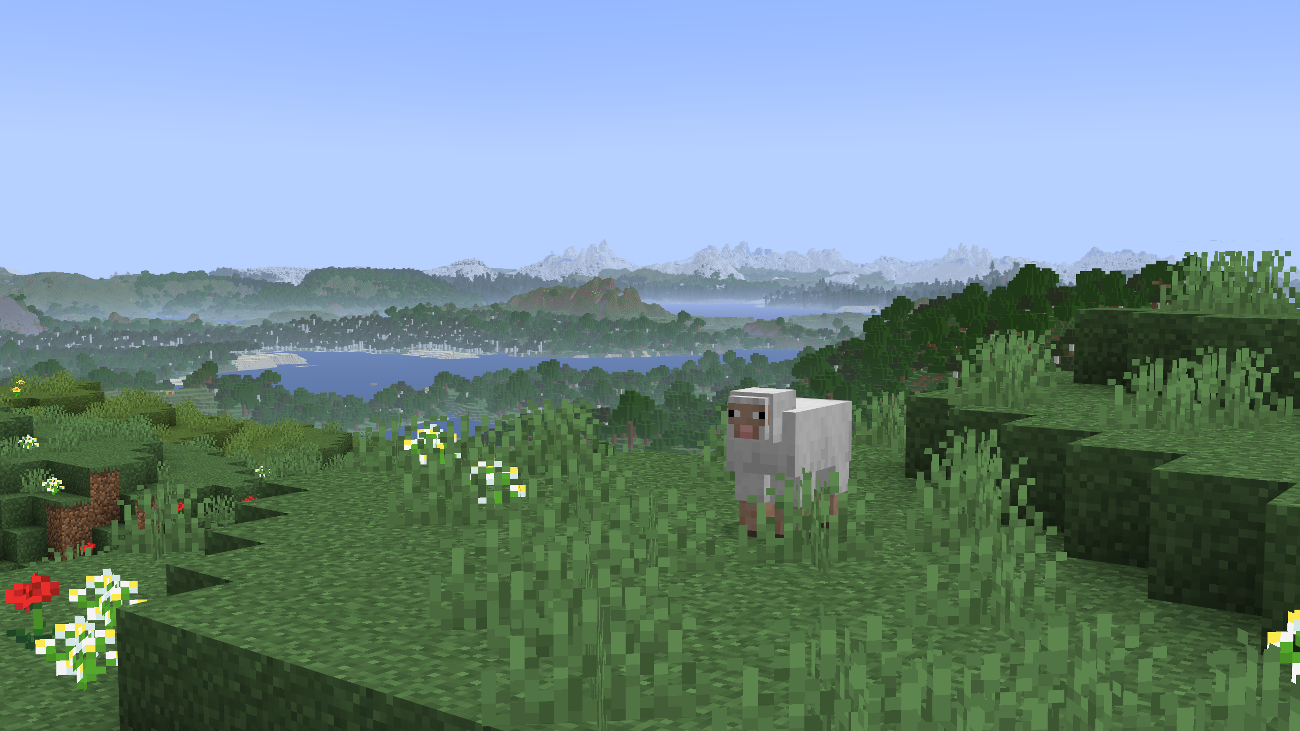paysage 3