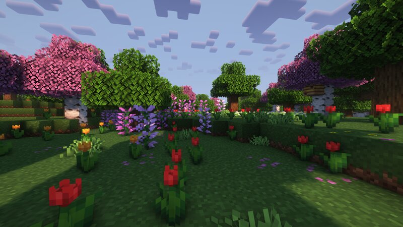 Remodeled 4