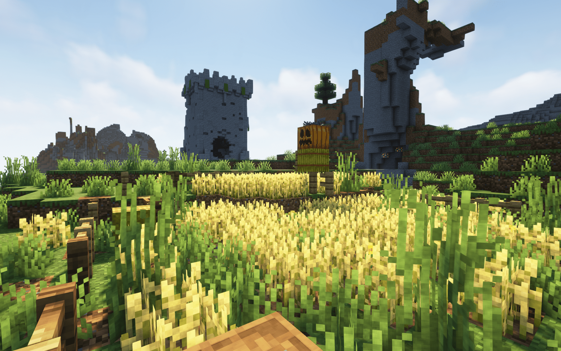 chateau infeste
