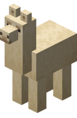 Lama