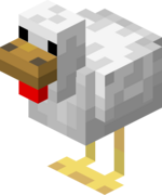 Poule