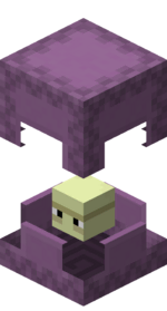 Shulker