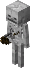 Squelette