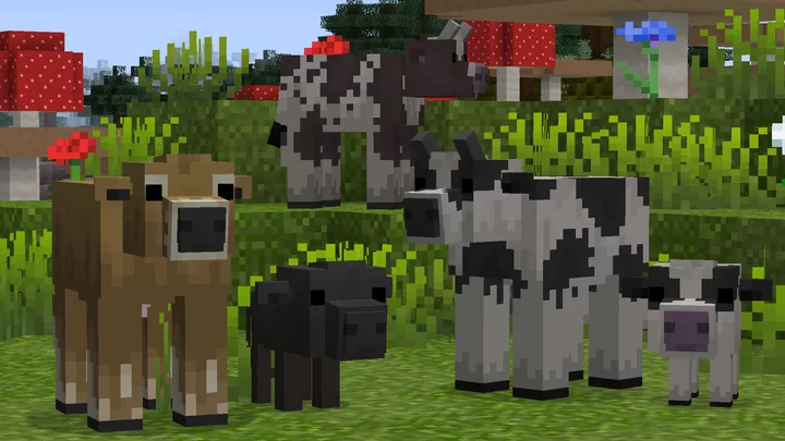 cow