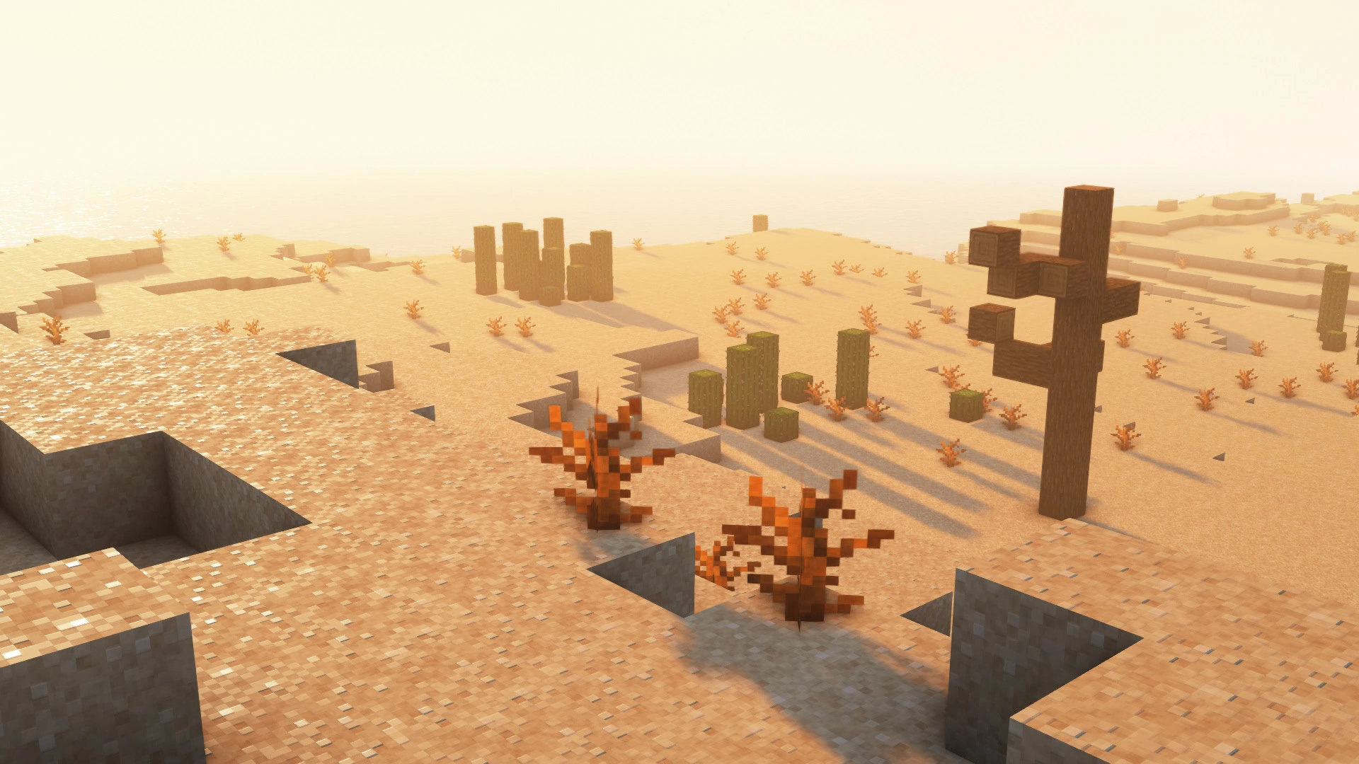 desert