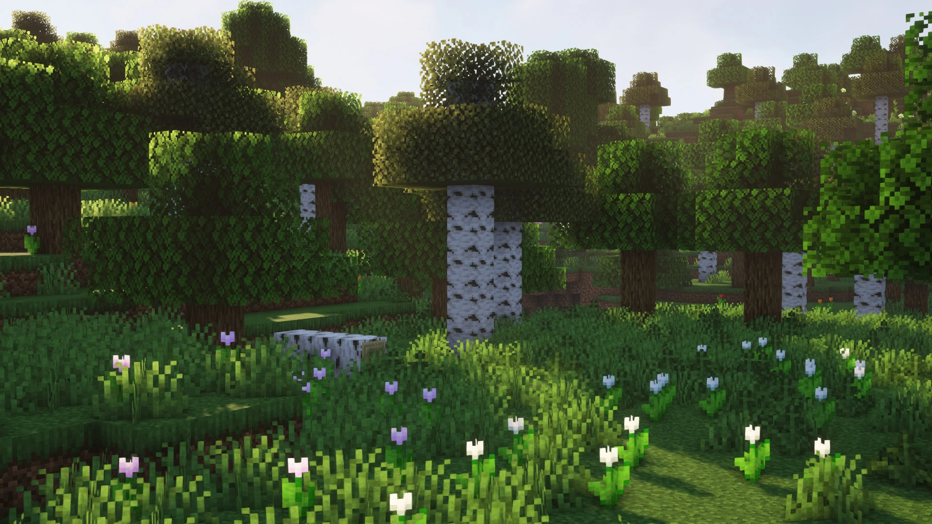 foret fleur