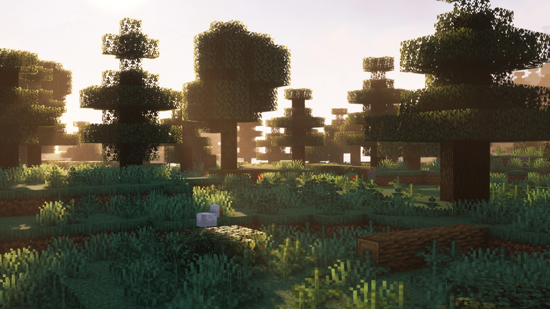 foret vent