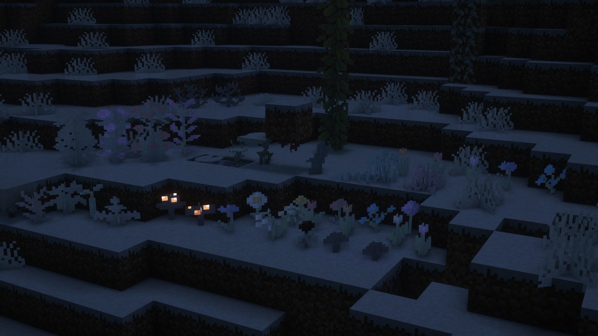 fleurs