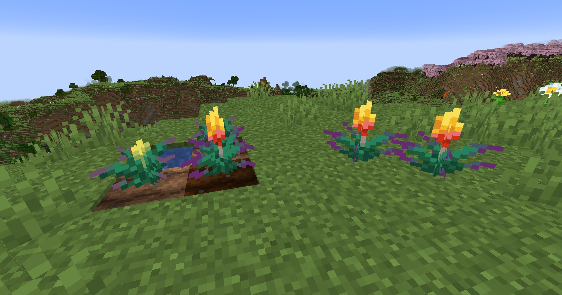Torchflower
