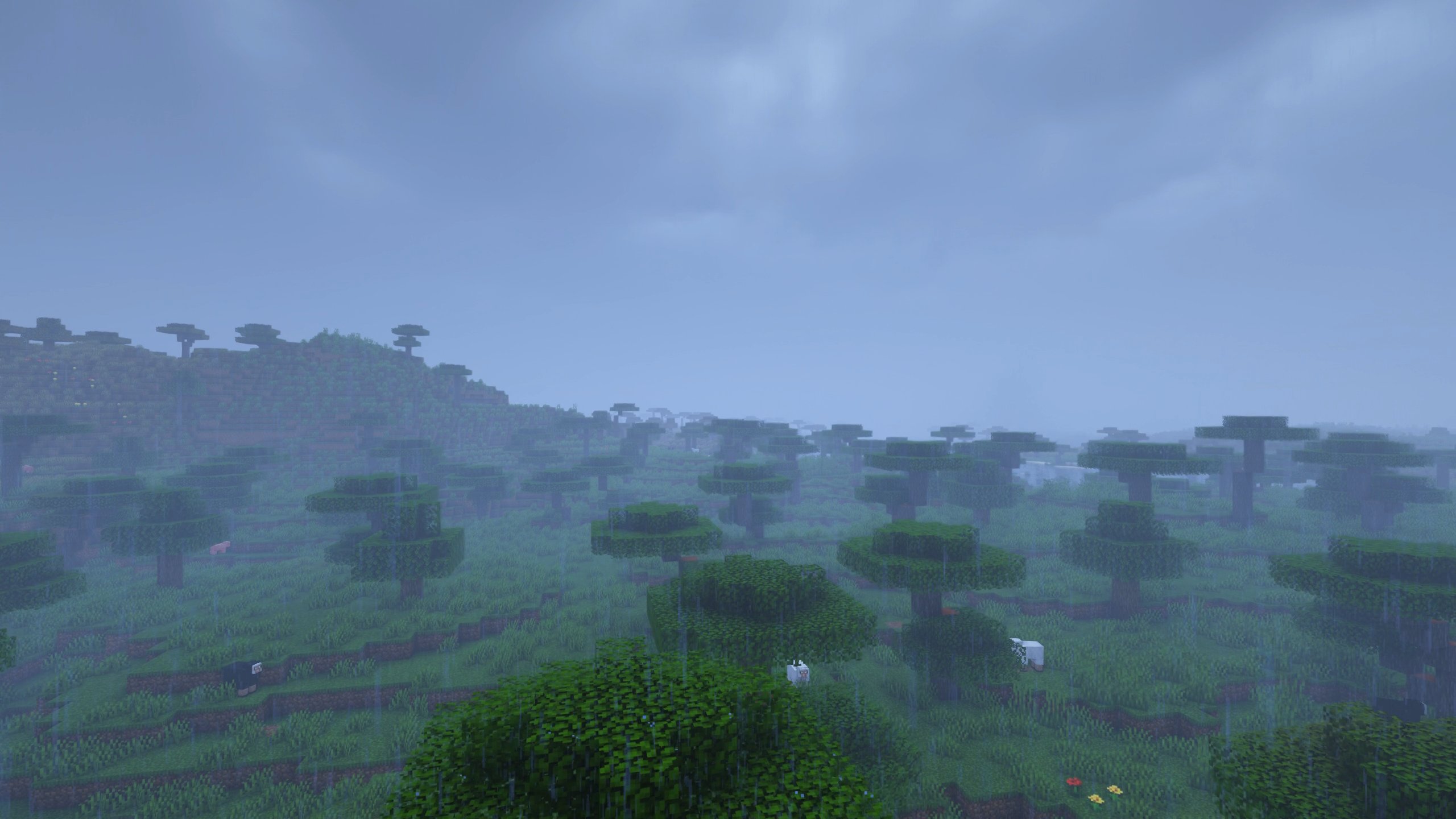 Etes de savane