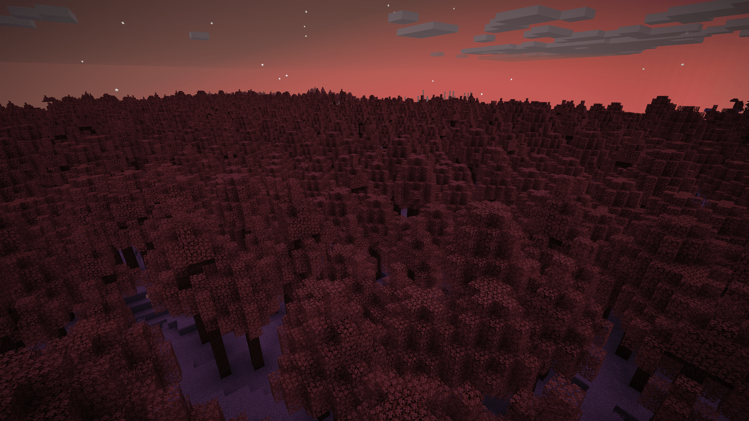 Foret derables au coucher du soleil dEverdawn