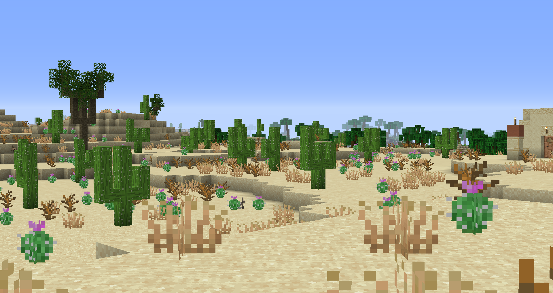 lush desert