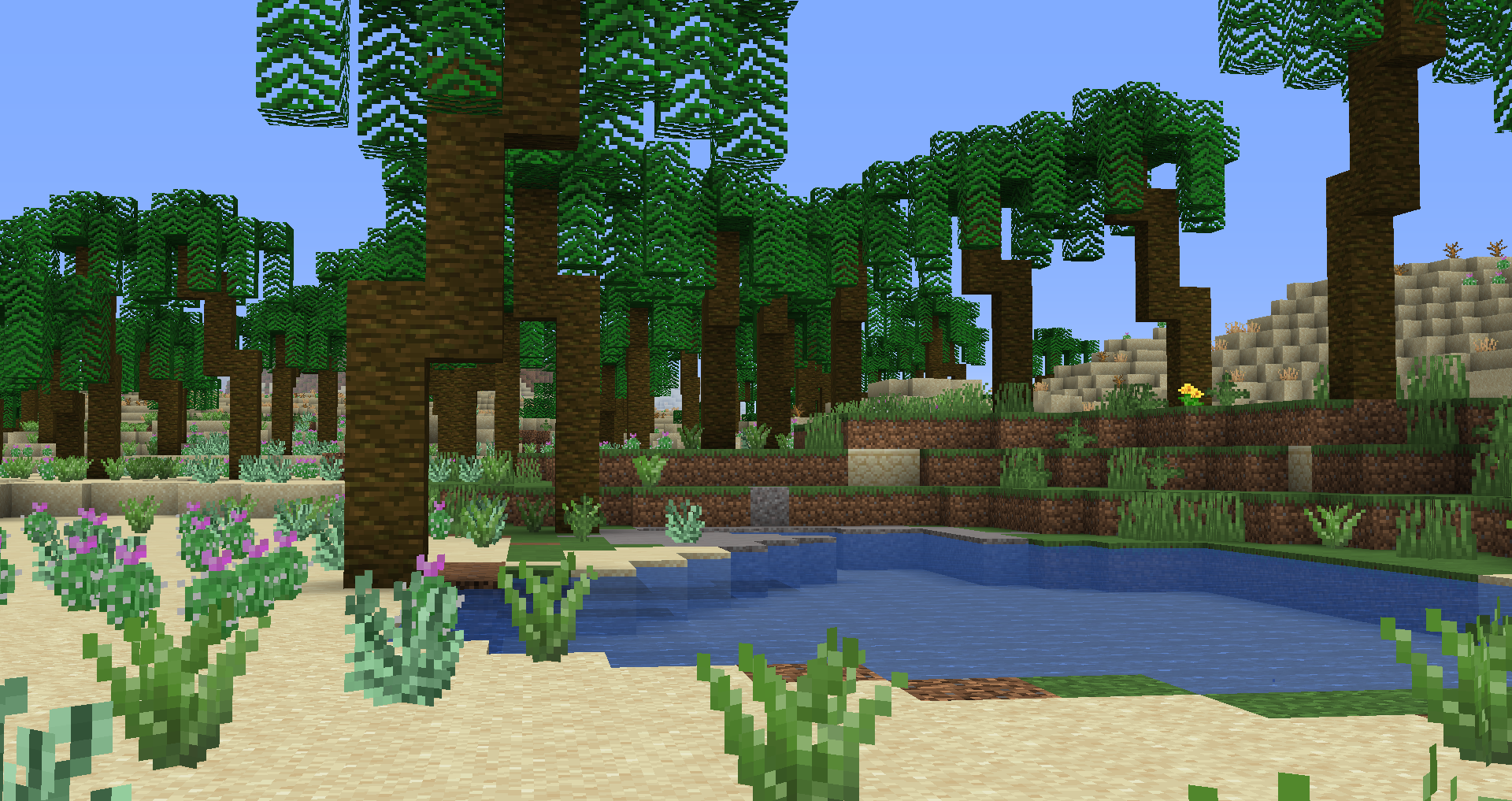 oasis