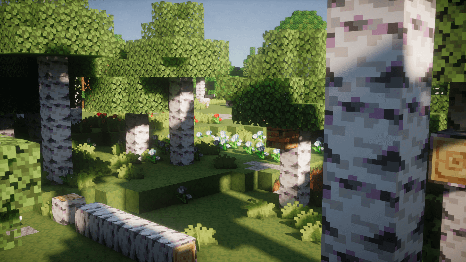 birch biome