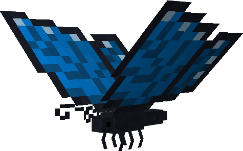 blue morpho