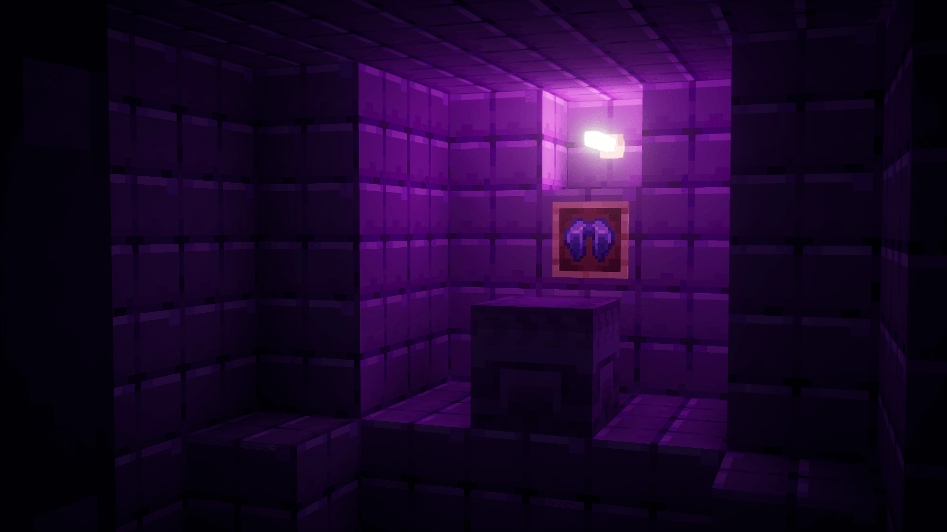 elytra