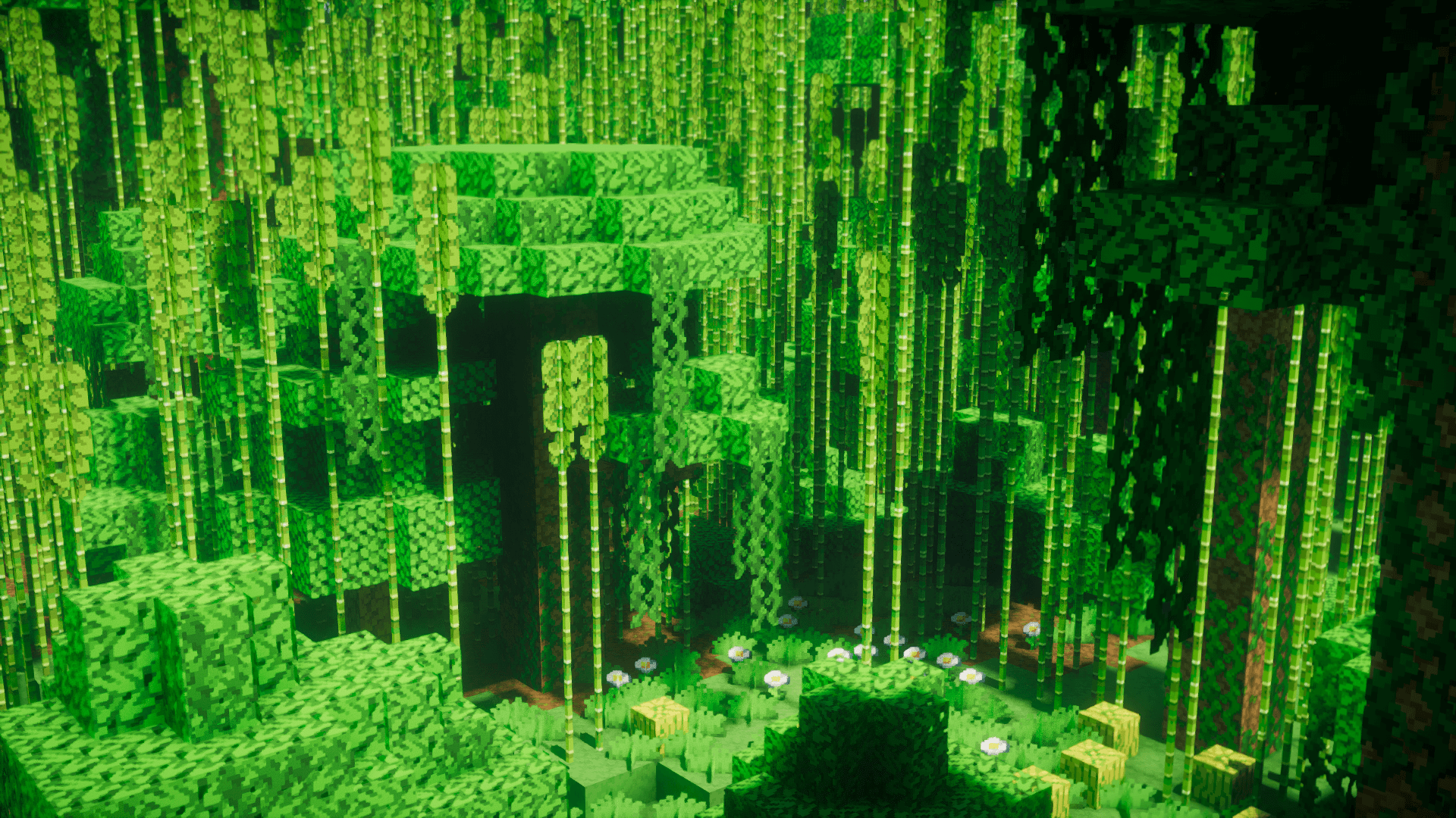 jungle2
