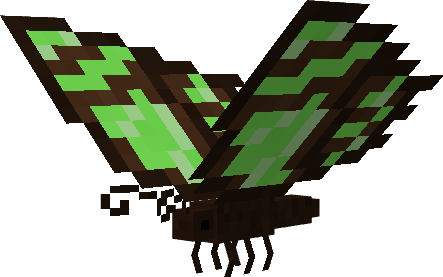 malachite butterfly