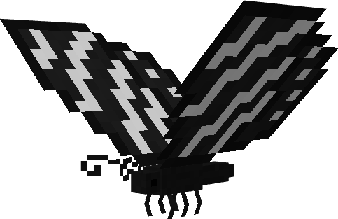 zebra longwing