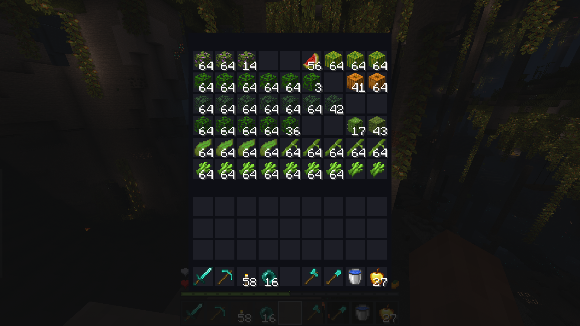06Chest