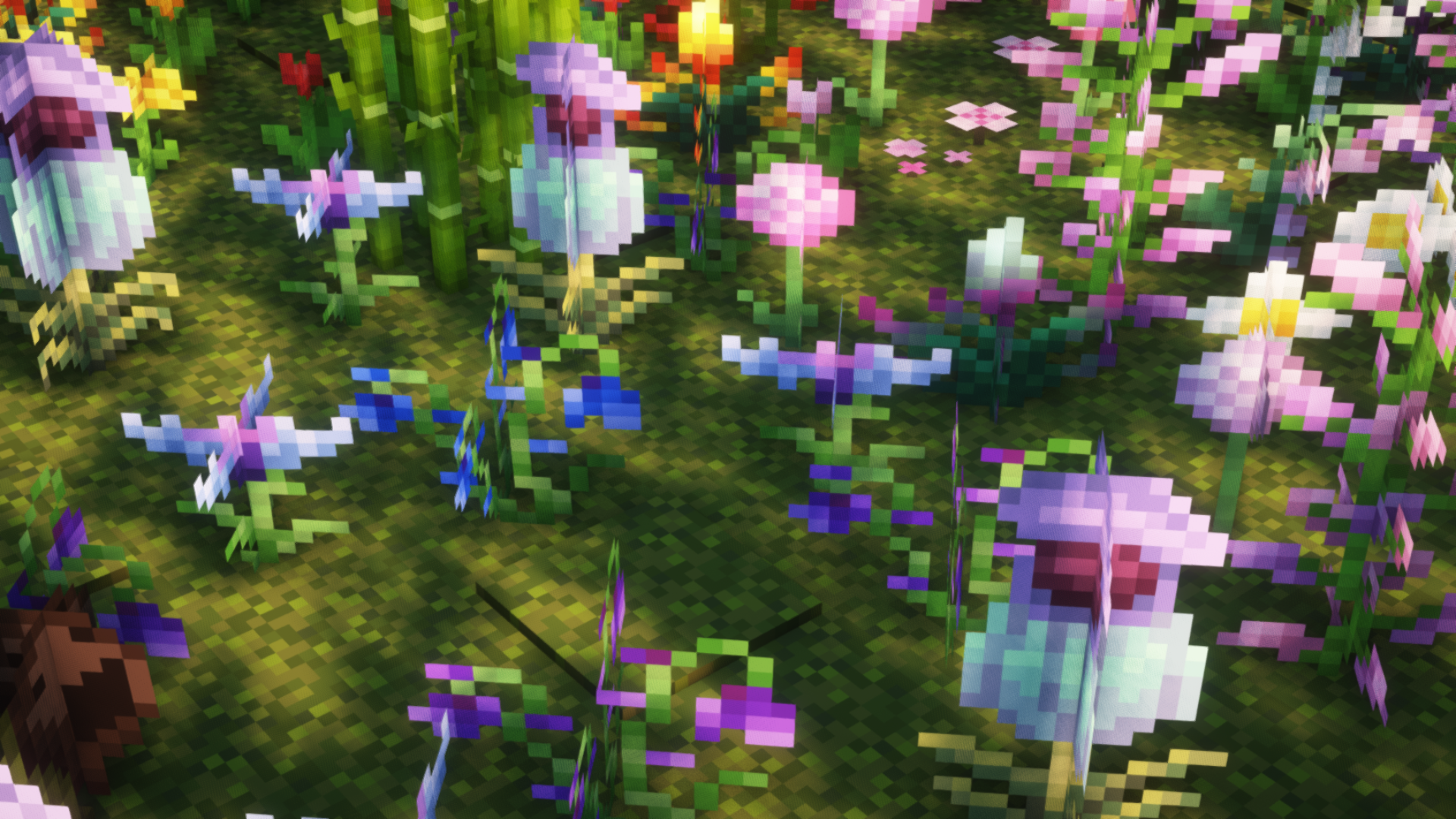 blue flowers