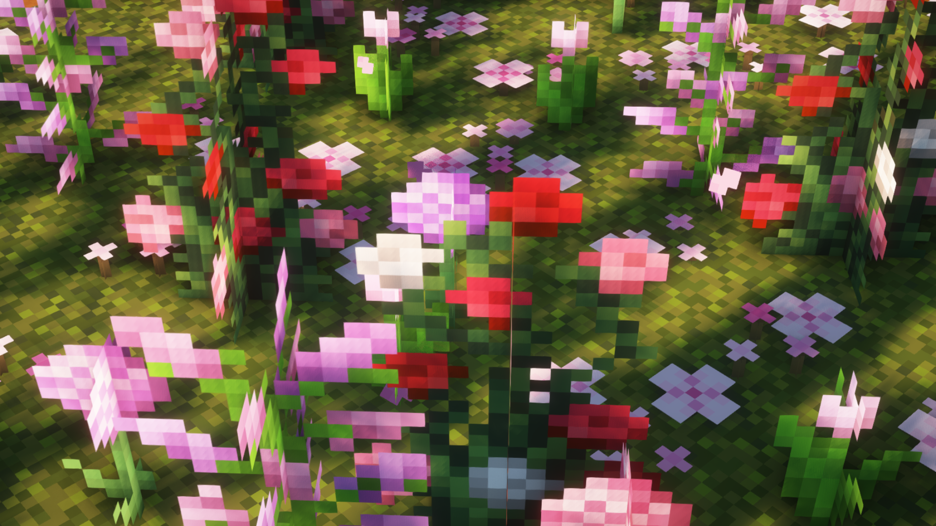 pink flowers