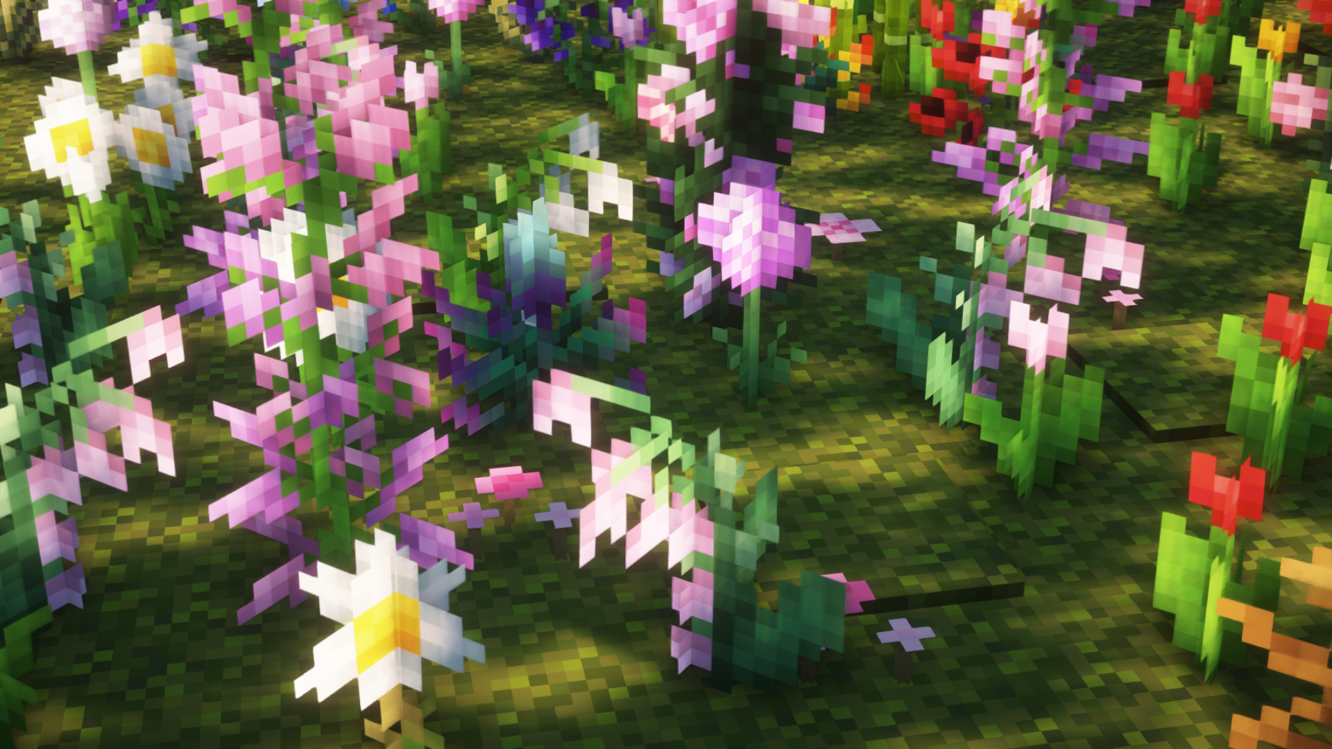 pink flowers2