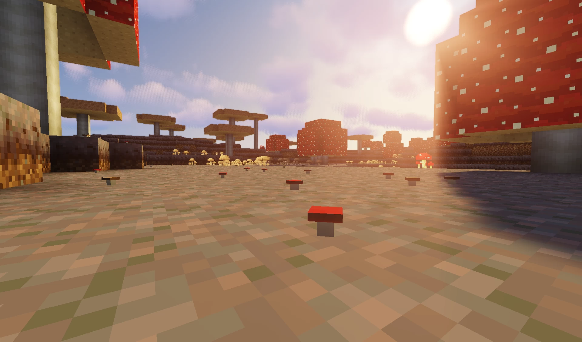 biome champignon