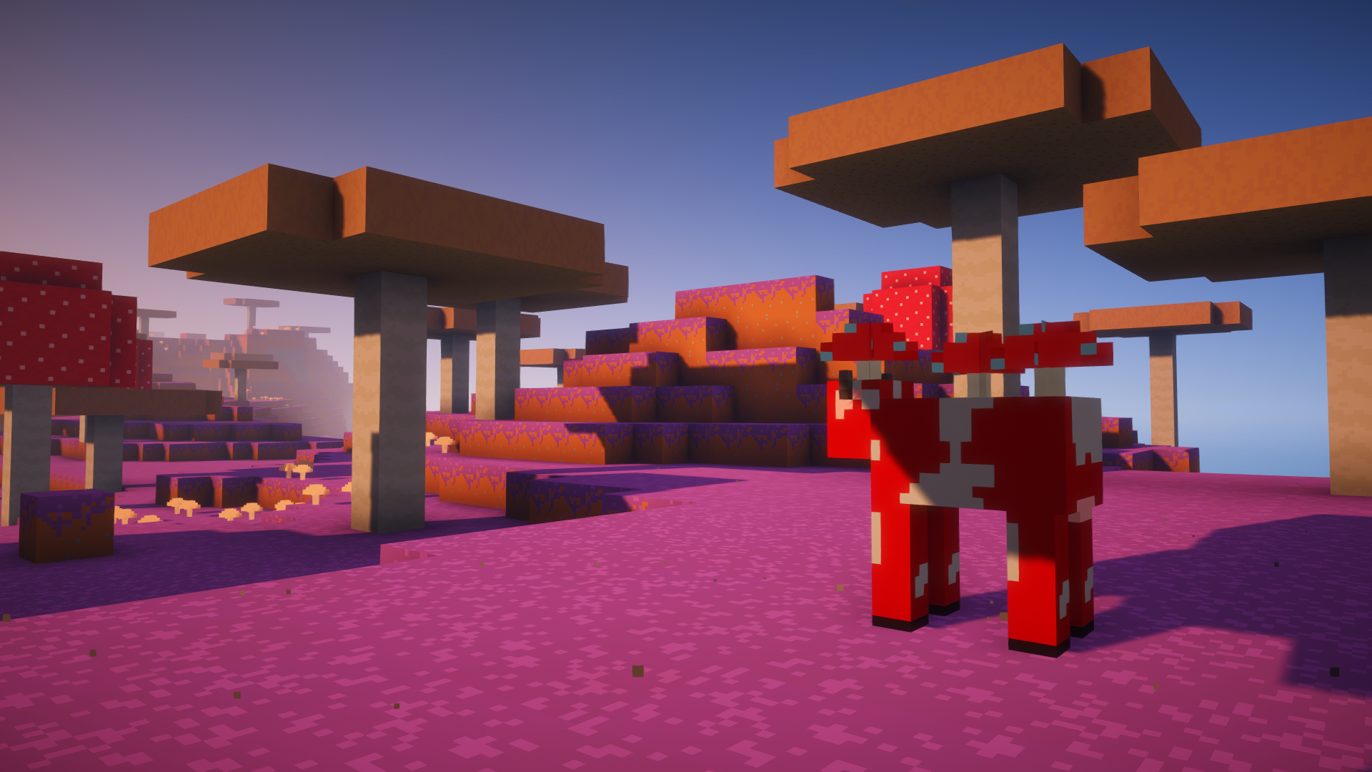 biome champignon trailer vision