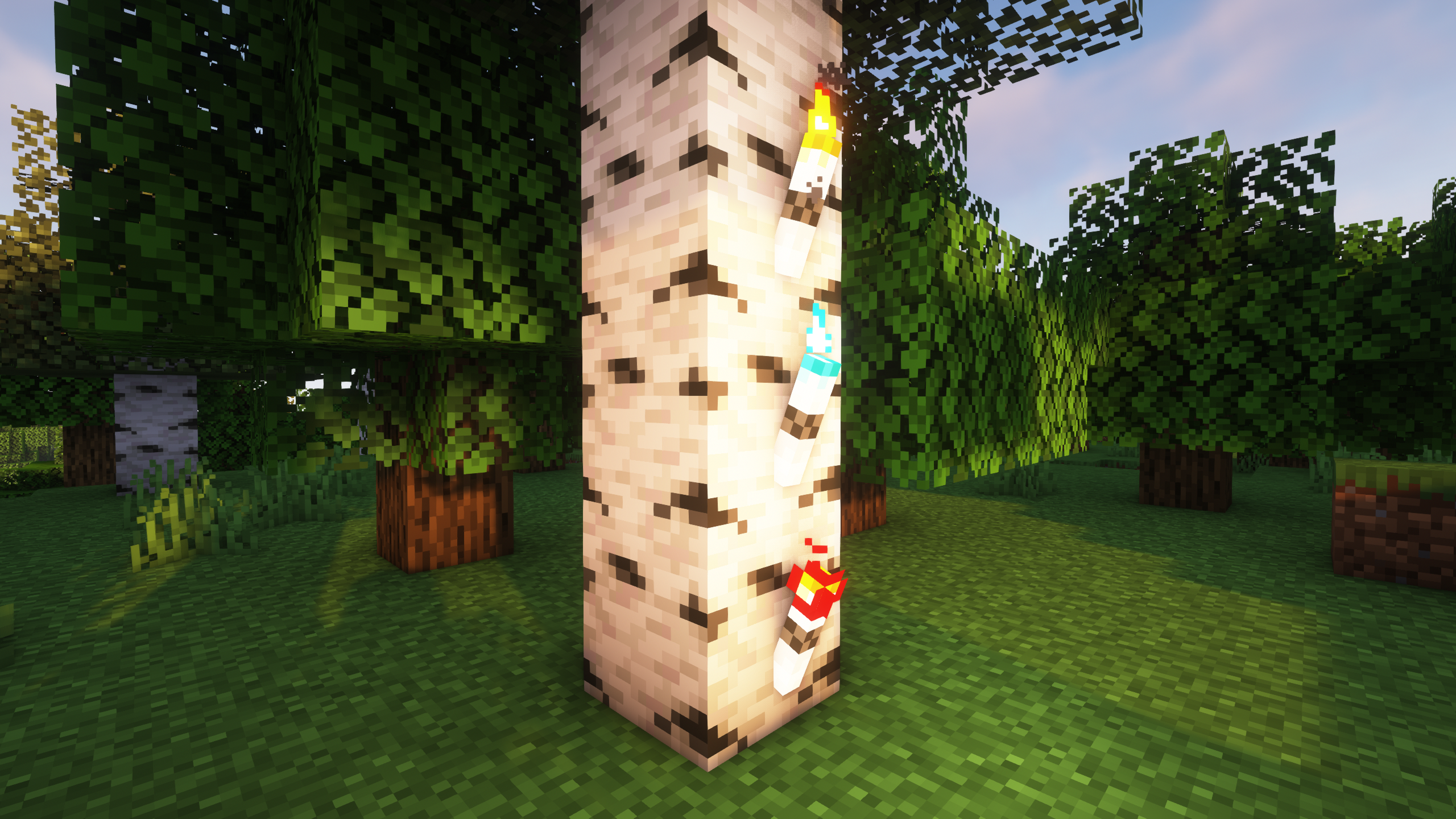 more beautiful torches
