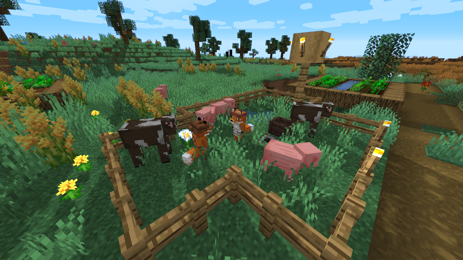 preview2