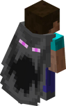MINECON 2016 Attendees Elytra
