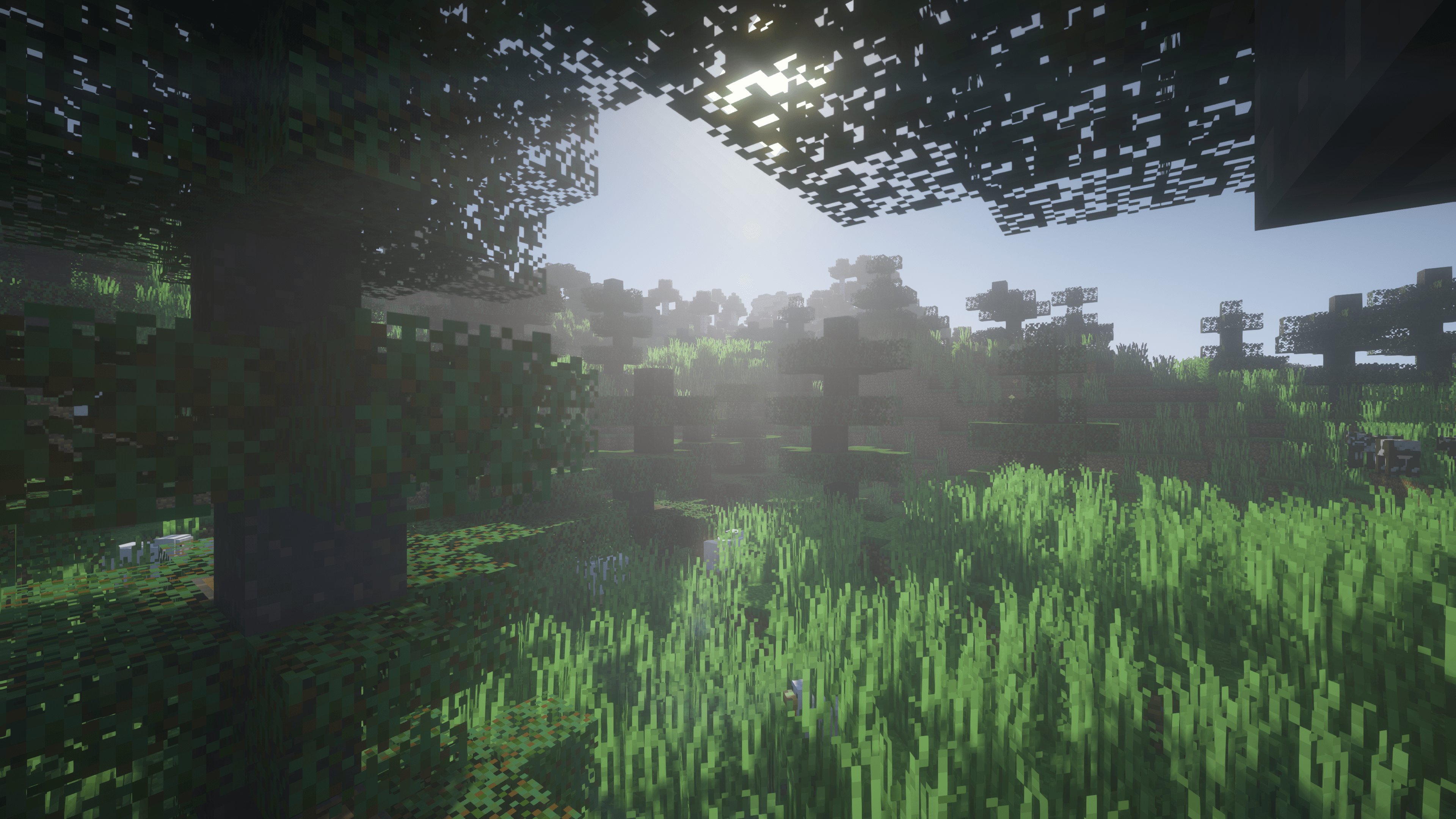 biome black pin trees Eastward journeys