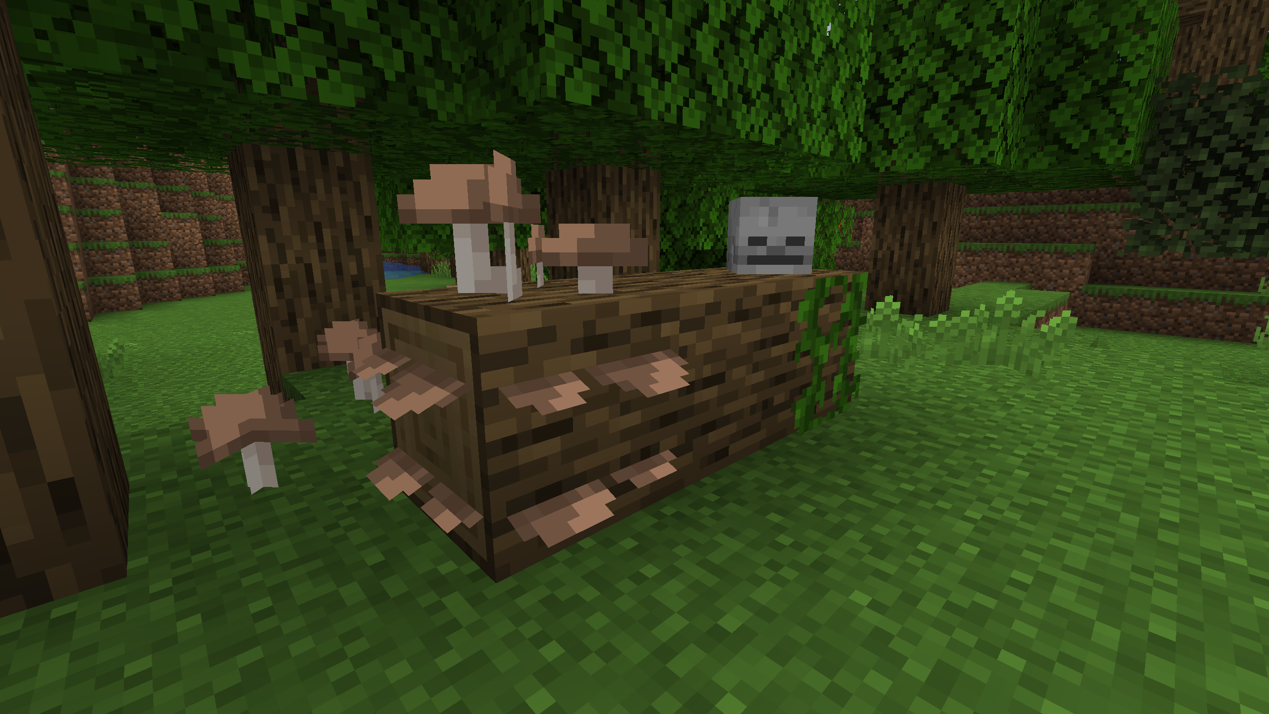buches avec champignons artisanal default 1