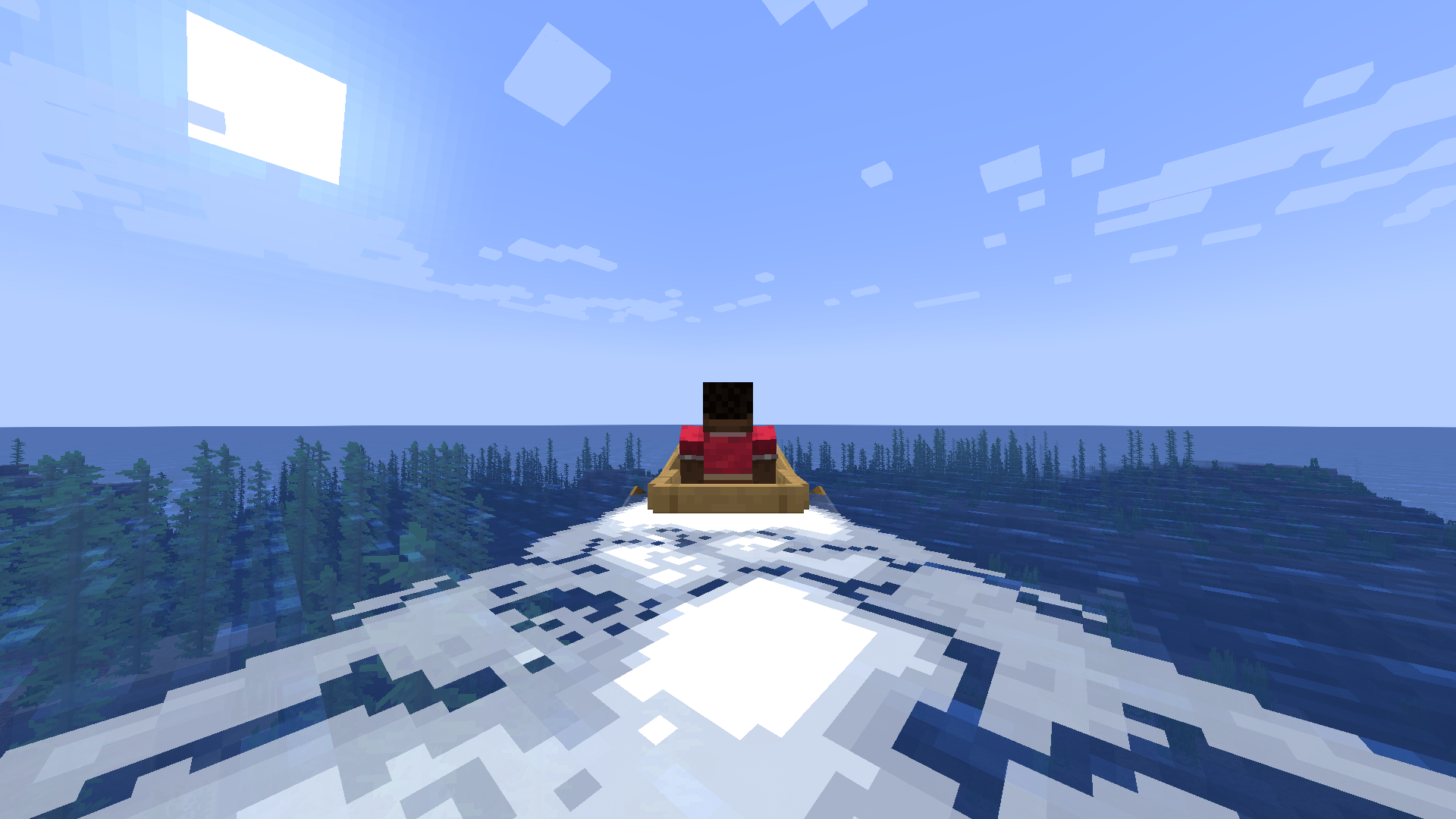 vu de dos des vagues wakes