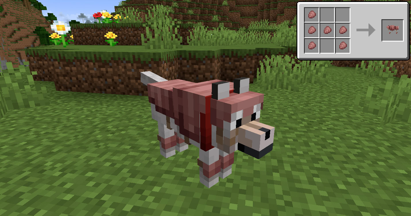 Armure pour loup 1.20.5