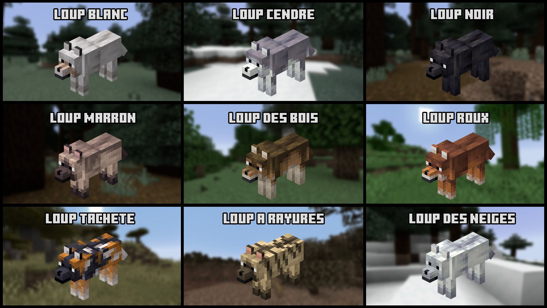 Loups 1.20.5