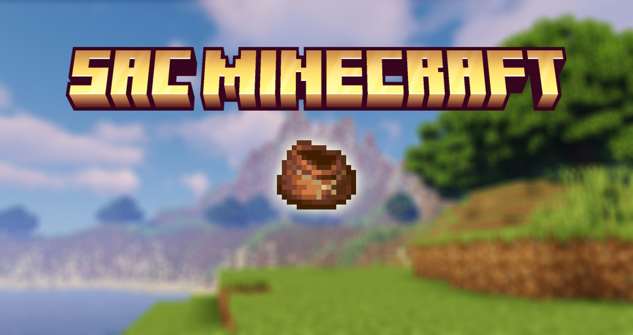 Sac dans Minecraft