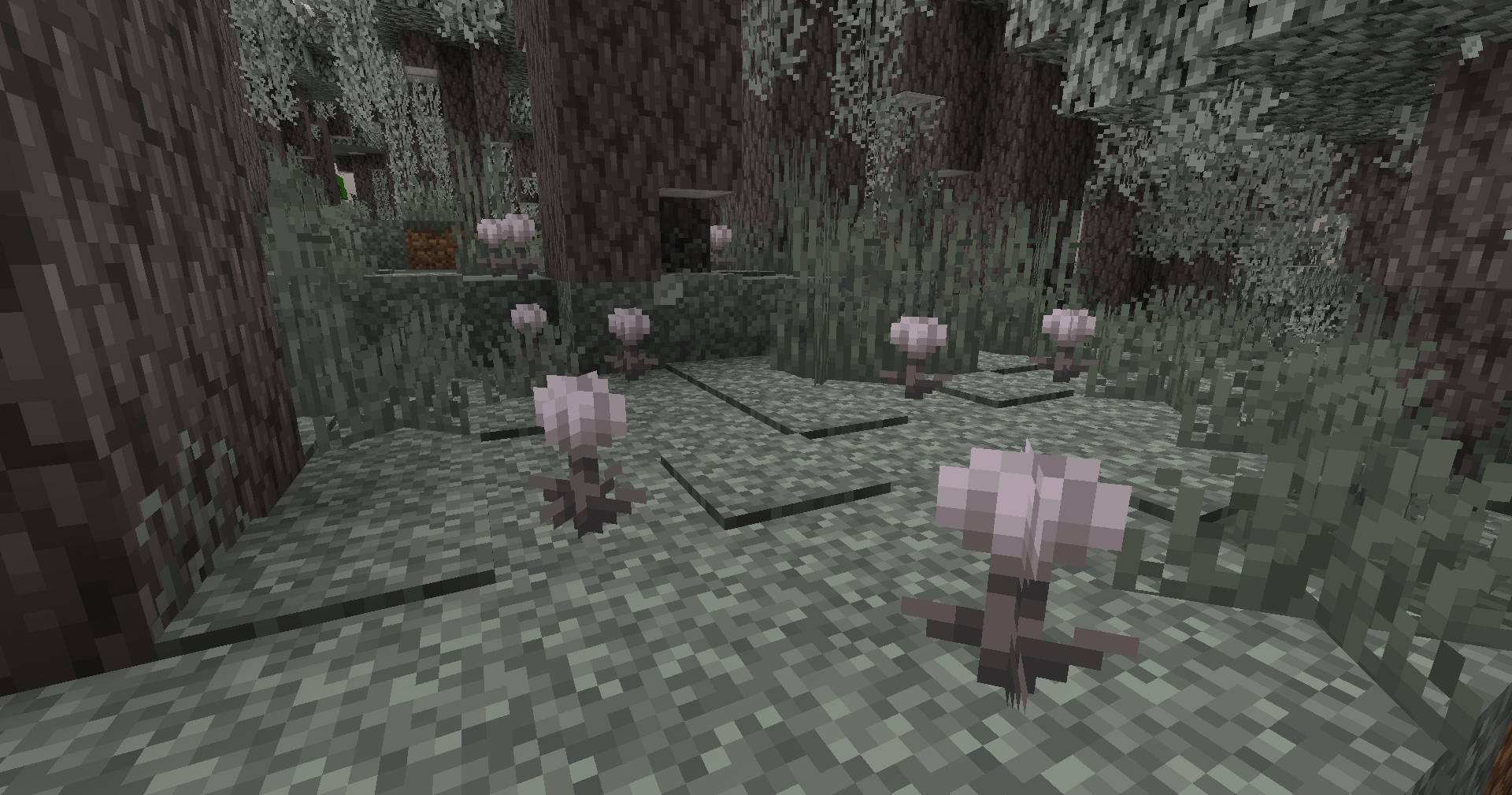 Eyeblossom fermée