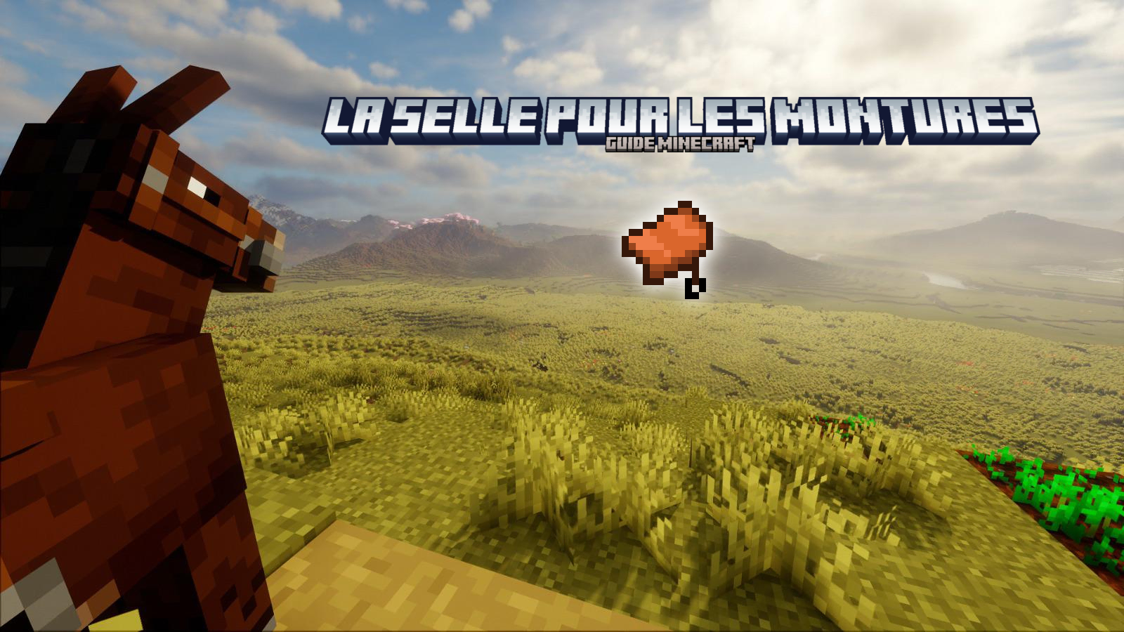 Selle Minecraft